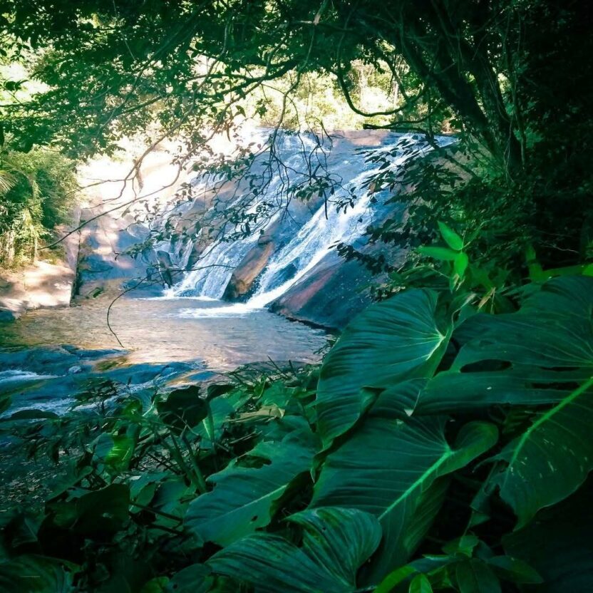 Guarapari além das praias: descubra as cachoeiras escondidas na região 6 Cachoeira Bravin 1