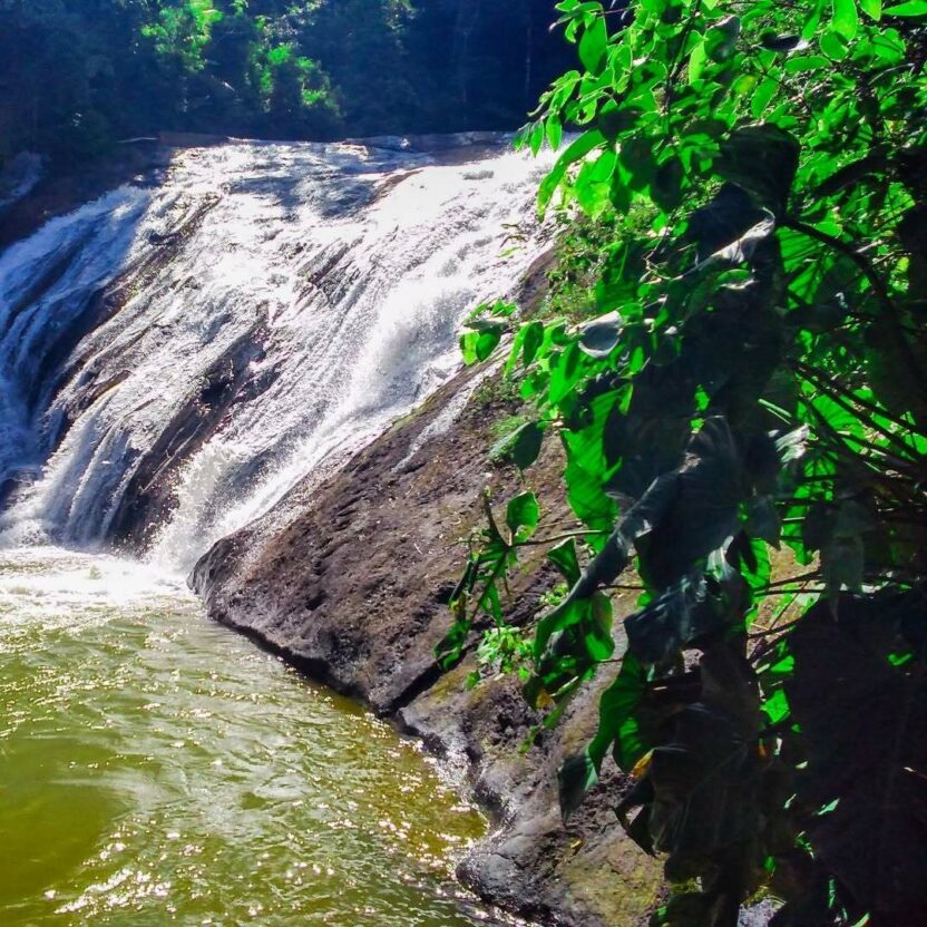 Guarapari além das praias: descubra as cachoeiras escondidas na região 4 Cachoeira Bravin 3
