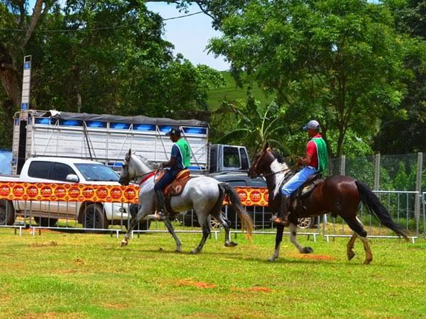 Exposição em Alfredo Chaves vai reunir os cavalos mais premiados do Brasil 1 WhatsApp Image 2025 05 14 at 17.51.35