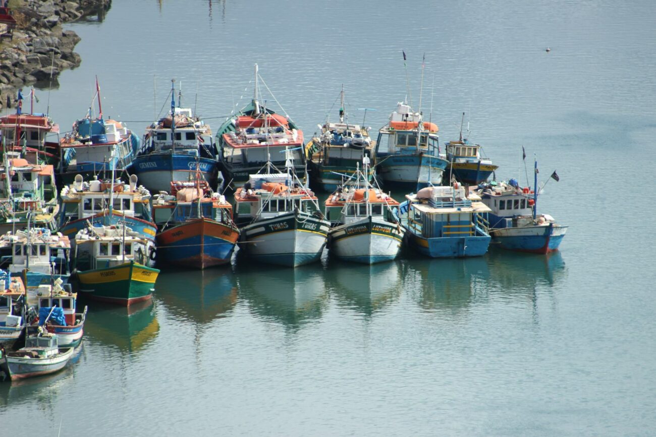 Guarapari celebra Festa de São Pedro com shows, teatro e missa solene; veja a programação completa 2 barcos canal guarapari pesca