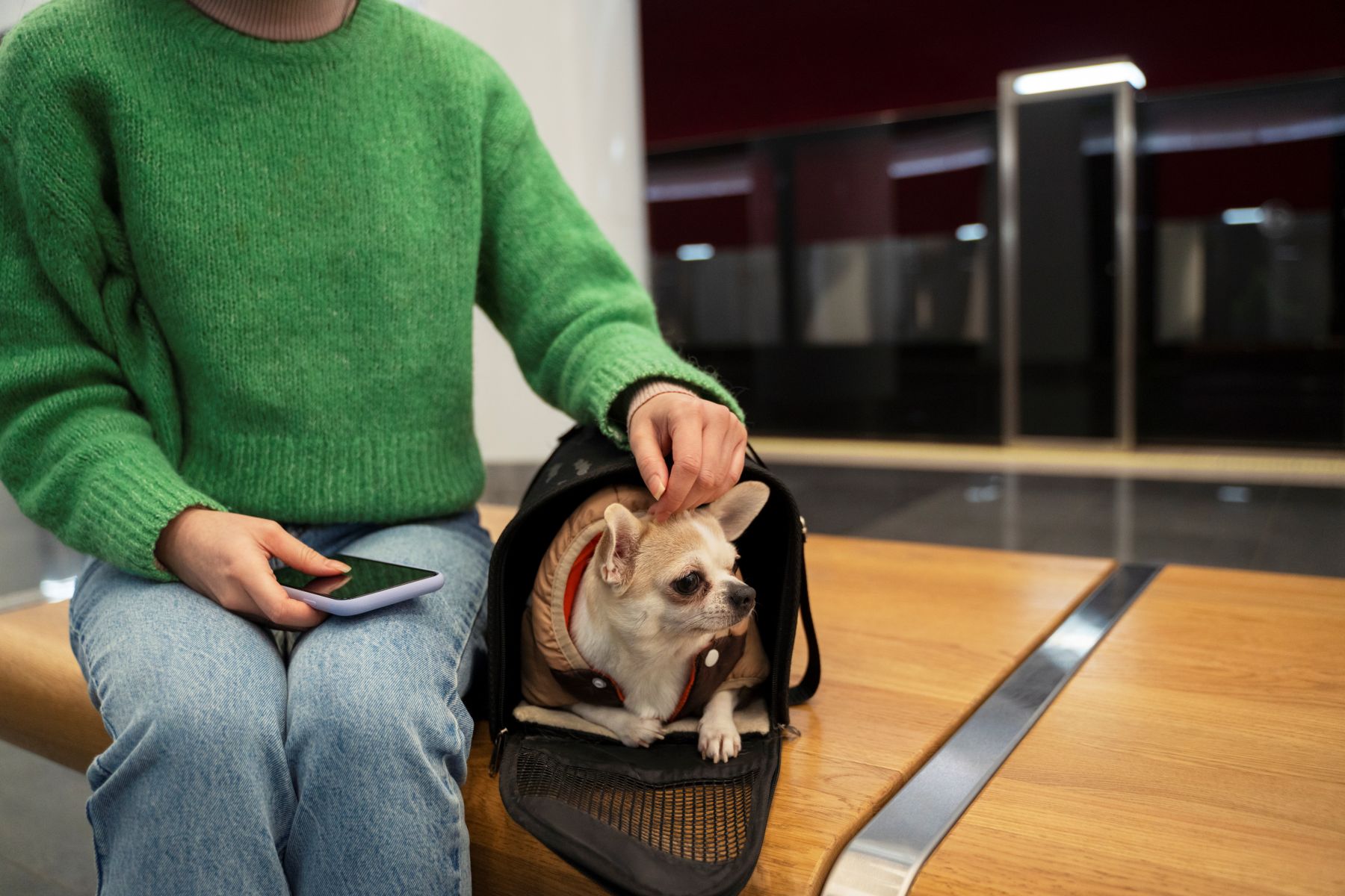 Seu pet também pode curtir Guarapari nas férias e ficar bem cuidado enquanto você viaja 2 mulher carregando seu animal de estimacao no metro