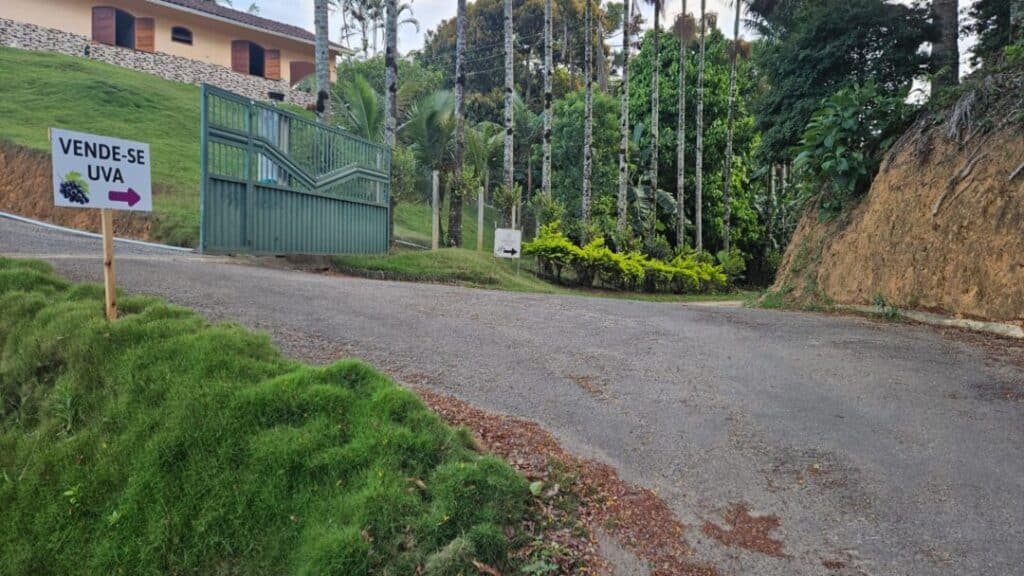 sitio uva marechal 2