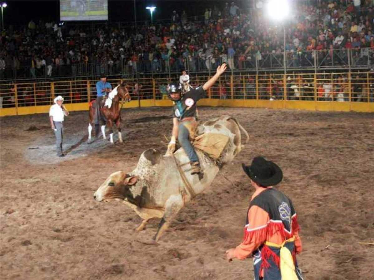 Festa do Clube do Cavalo