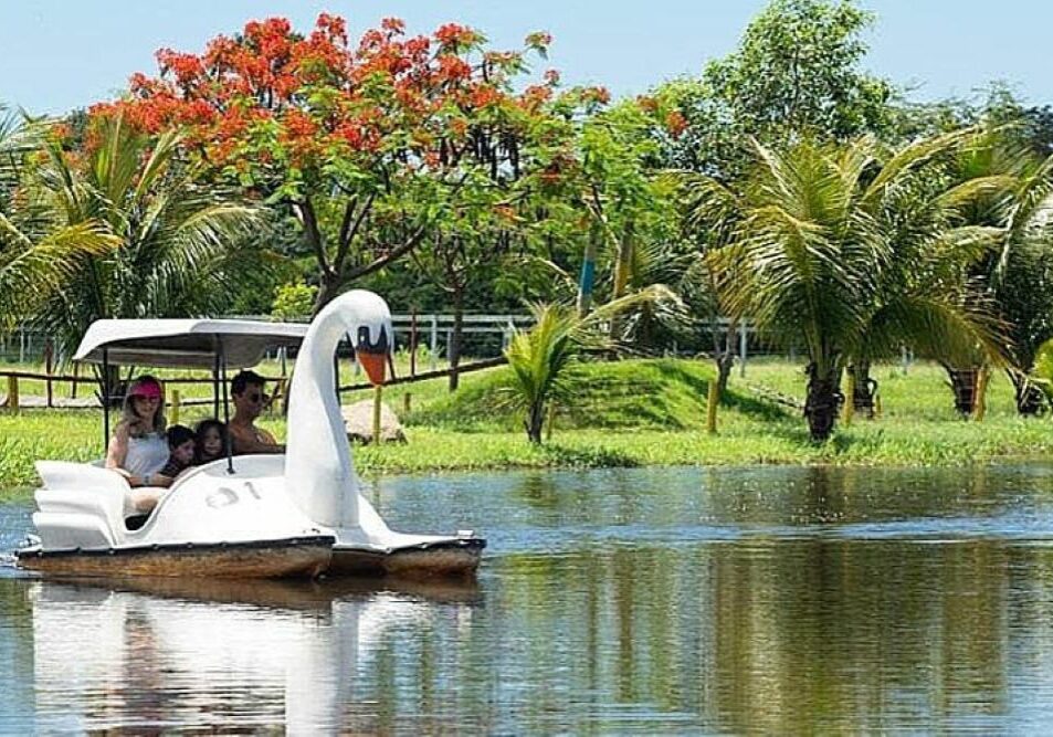 41313_28022020_900x500