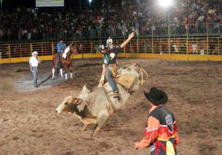 Festa do Clube do Cavalo