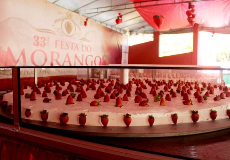 Torta gigante (1)